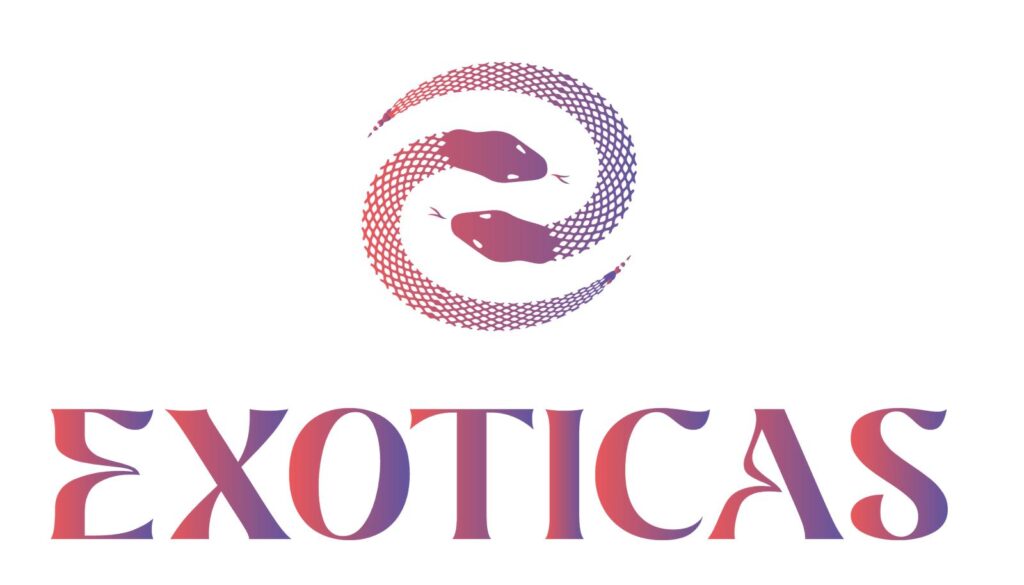 Exoticas djs logo color