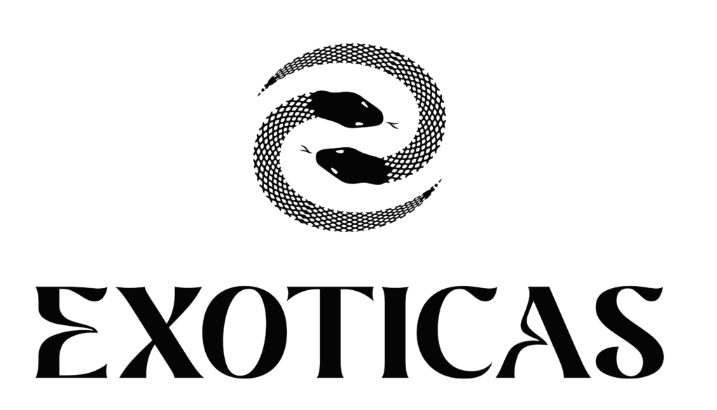 exoticas djs logo 2